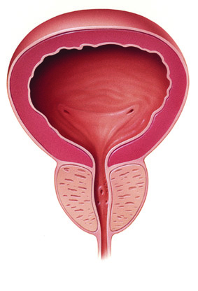 is tamsulosin good for enlarged prostate
